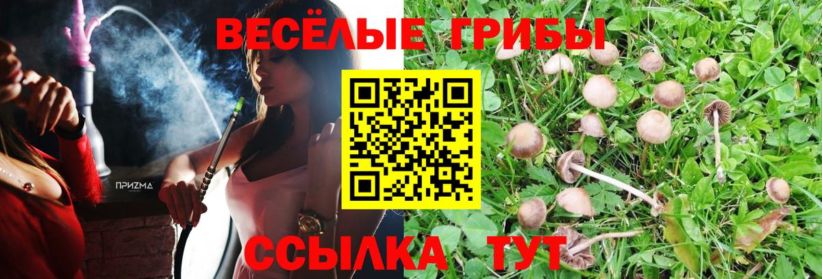 Россошь  Псилоцибиновые грибы MAGIC MUSHROOMS  Вход с VPN  Галлюциногенные грибы мицелий 